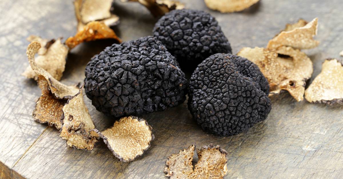 Truffe noire du Périgord - Trésors de la terre