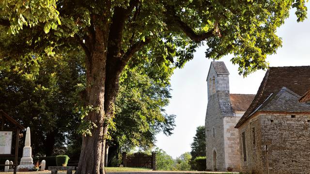 Rendez-vous avec Templiers et Hospitaliers