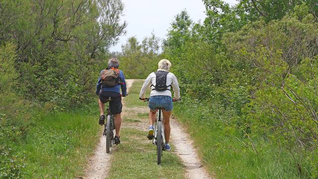 Balades à vélo / VTT