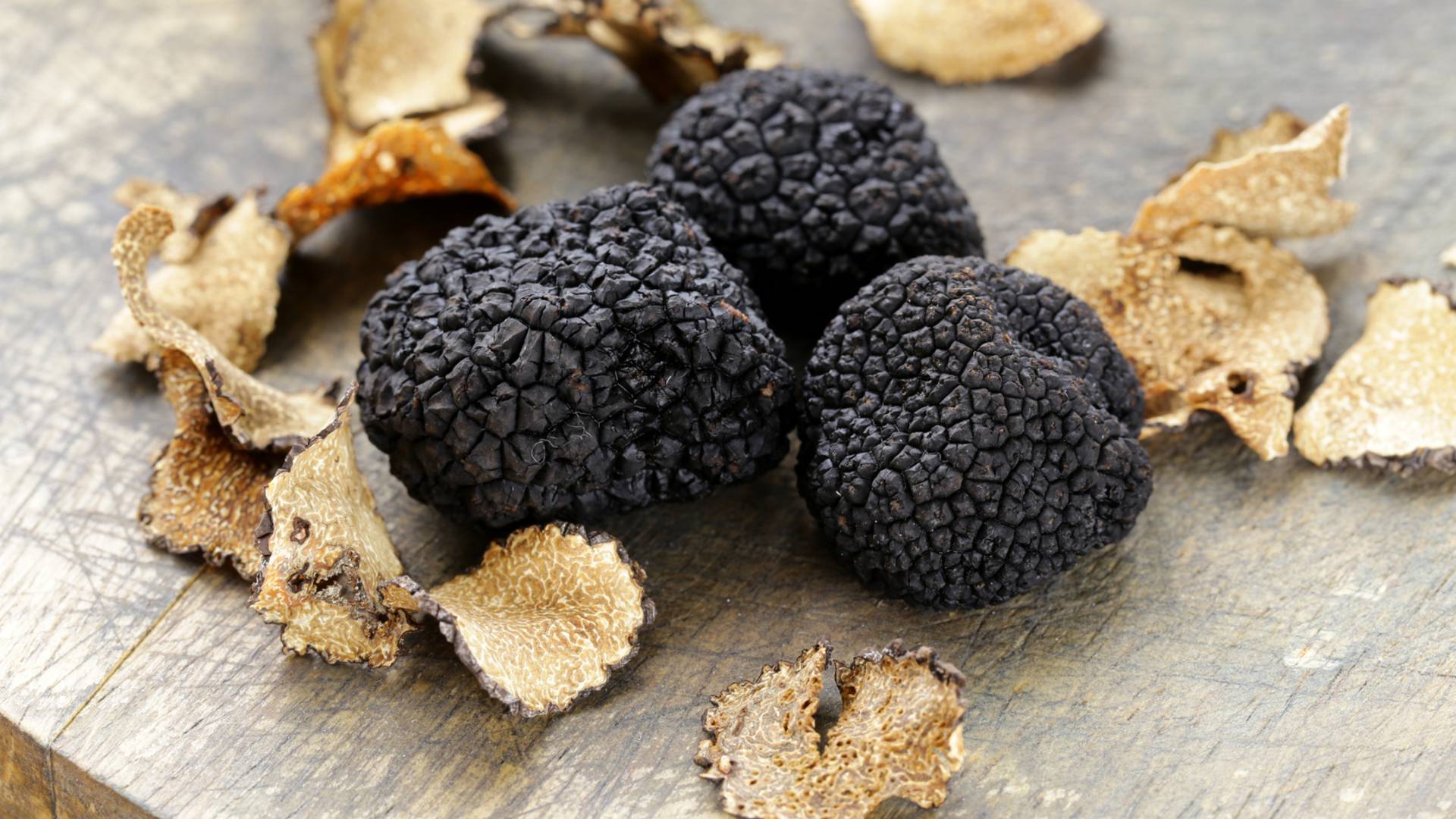 la truffe noire du périgord